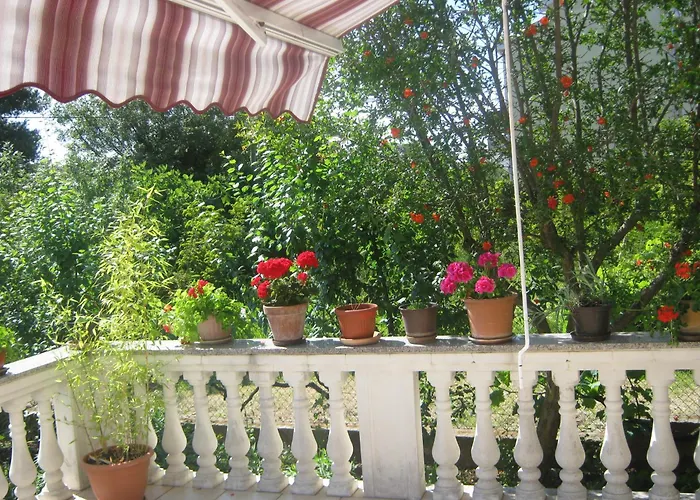 Apartments Grzunov
