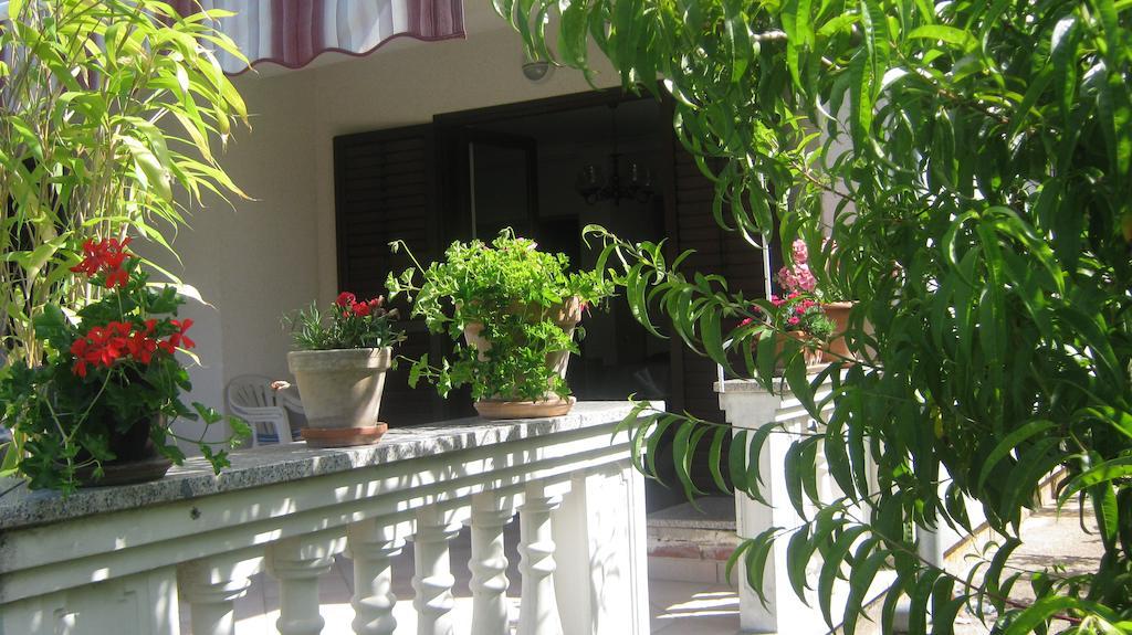 Apartment Grzunov *