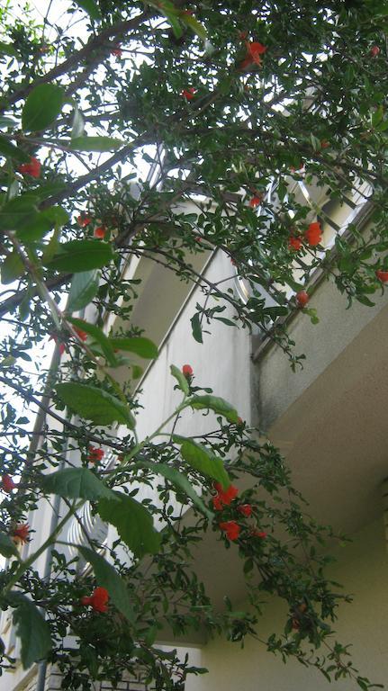 Grzunov Appartamento *